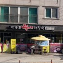 송백로-4 이미지