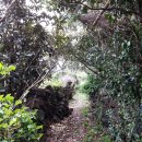 추사 유배길 - 1코스 집념의 길 이미지