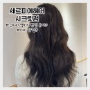 회기 미용실 세르피에헤어 시크릿점 엘리자벳펌 후기