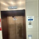 특별한 날의 요리 | 대구오마카세 추천, 특별한날 방문하기 좋은 수성구 "히바치" 철판요리 B코스 후기