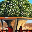 대한통운 건물 이미지