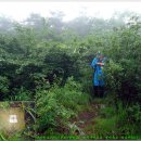 함창중앙초등학교 이미지