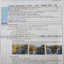 여주-0108 Daum카페