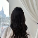 세종청사 미용실 이미지