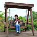 숲에 머물다 이미지