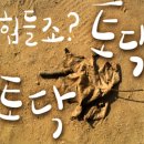 강진군동초등학교 이미지