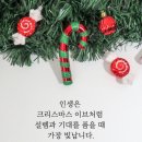 12월 25일(수.성탄절)아침을 여는 건강한 에코힐링(글 전체 보기는 글주소 클릭!) 이미지