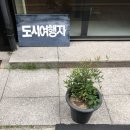 백가닥파스타