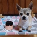 신진덴탈 이미지