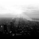 라즈베리의 효능과 부작용 이미지