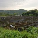구안리농장 네이버블로그