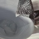 식탁의품격 | 식탁의 품격을 높이는 프리미엄 김치, '온고(Ongo)' 배추김치 솔직 후기