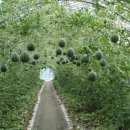 너래안농장 이미지