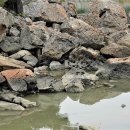 망산도 유주암 이미지