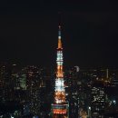 [동경일기] 모리타워에서 도쿄타워 보기 이미지