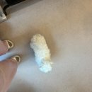 안나그루밍 이미지