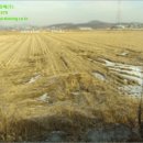 (유)금종 네이버블로그