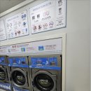 금호셀프 이미지