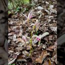 문헌공원 이미지