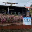 자라섬캠핑장 | 자라섬 캠핑장 카라반 이용 후기