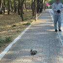 학산 시장화장실 이미지