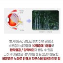 눈플러스안경원 이미지