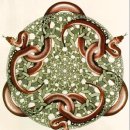 심화영어 이미지