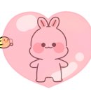 미다모은 이미지