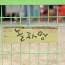 놀자멍 애견# 네이버블로그