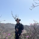 창촌초등학교 | 한강기맥 04구간 홍천 청량봉(1053) 2026. 04. 18.