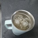 라임골프 | 골프 라운딩 후 쟁여두는 이디야 콤부차 추천, 프로바이오틱스 저당 레몬라임 후기