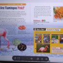 상남동240 이미지