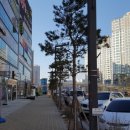 동탄디스퀘어앞 이미지