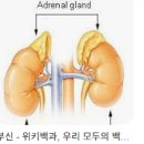 힐러명가안마원 이미지
