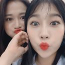 홀리카홀리카안산