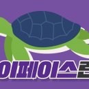 마이페이스