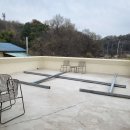 디어터틀(dear turtle) 이미지