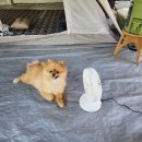 양주감악산캠핑장 이미지