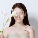 제이에스티나 카카오 검색결과