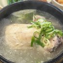 금산삼계탕 | 대구 들안길 금산 삼계탕 본점 방문 후기