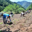 수산리-19 이미지