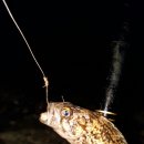 동산낚시터 이미지