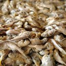 소래젓갈식품 이미지