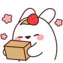 시가82 이미지
