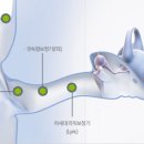 포낙보청기 광명센터 이미지