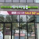 세사리빙강릉