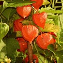 생활중국어 이미지