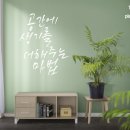 안의원목 이미지