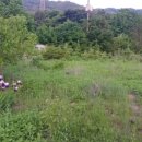 반제농장 이미지