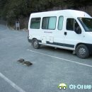 제일주유소 공중화장실 이미지